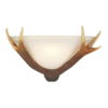 Antler Wall Washer complete with Glass