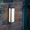 Arham Outdoor Wall Light Matt Grey Frosted Glass IP65 LED