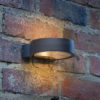 Reon Outdoor Wall Light Matt Grey Glass IP65 LED