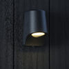 Black & Frosted Glass Outdoor Wall Light