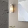 Newham 1 Light Wall Chrome Plate & Frosted Glass