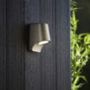 Brushed Silver Finish & Frosted Glass Outdoor Wall Light