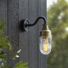 Black & Brushed Gold Finish With Clear Glass Outdoor Wall Light