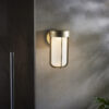 Brushed Gold Finish & Frosted Glass Outdoor Wall Light